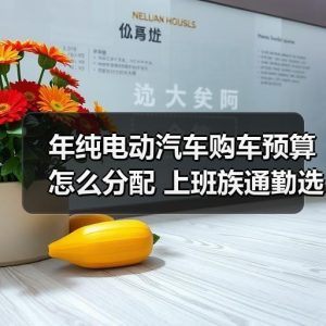 年纯电动汽车购车预算怎么分配 上班族通勤选车费用清单