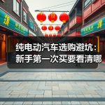 缩略图–纯电动汽车选购避坑：新手第一次买要看清哪些关键指标–辰飞雨江苏长岳新能源汽车