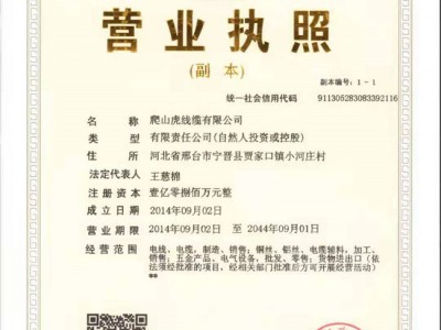 营业执照副本